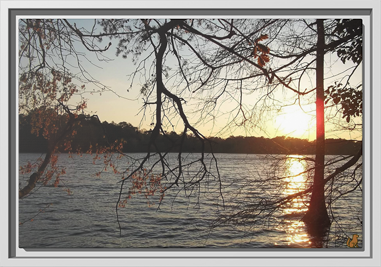 Evening Stillness, Framed Matte Canvas Print